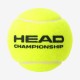 3B Head Championship
