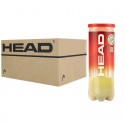 Caja Pelotas Head Championship