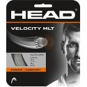 Set Velocity MLT 16gr (Natural)