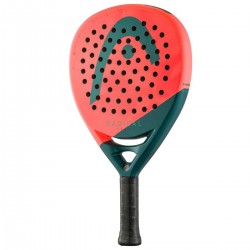 Head Radical Team 2026